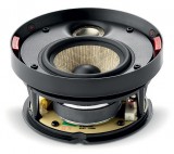    Focal Focal 300 ICW 4